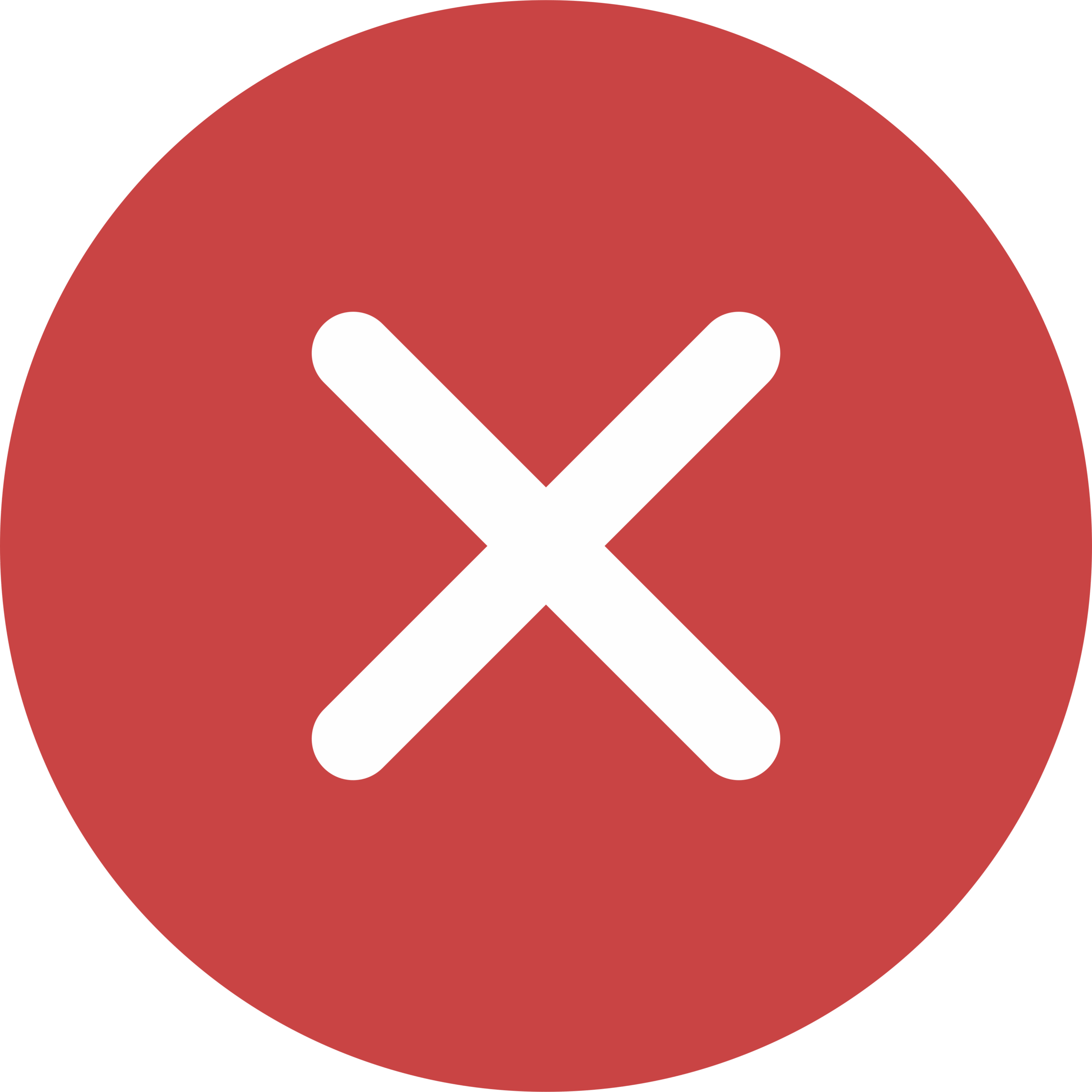 No CheckBOX